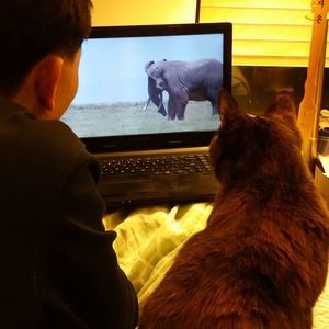 Meet your Posher, Myung